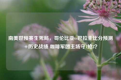 南美世预赛生死局,哥伦比亚vs巴拉圭比分预测+历史战绩 咖啡军团主场守1抢3?