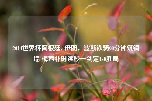 2014世界杯阿根廷vs伊朗,波斯铁骑90分钟筑铜墙 梅西补时读秒一剑定1-0胜局