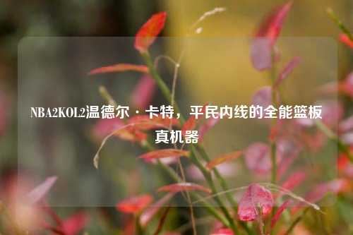 NBA2KOL2温德尔·卡特，平民内线的全能篮板真机器