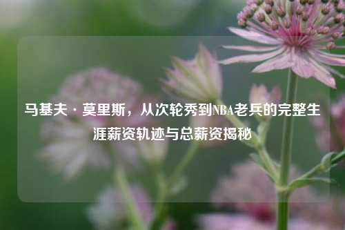 马基夫·莫里斯，从次轮秀到NBA老兵的完整生涯薪资轨迹与总薪资揭秘