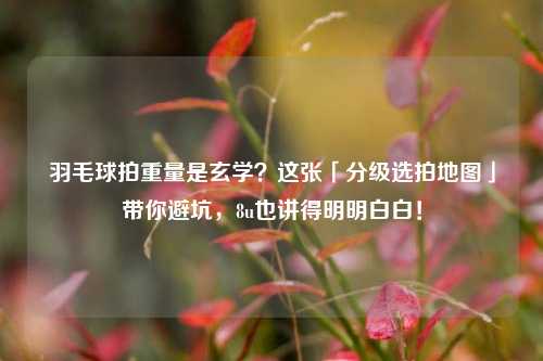 羽毛球拍重量是玄学？这张「分级选拍地图」带你避坑，8u也讲得明明白白！