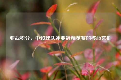 亚战积分，中超球队冲亚冠精英赛的核心玄机