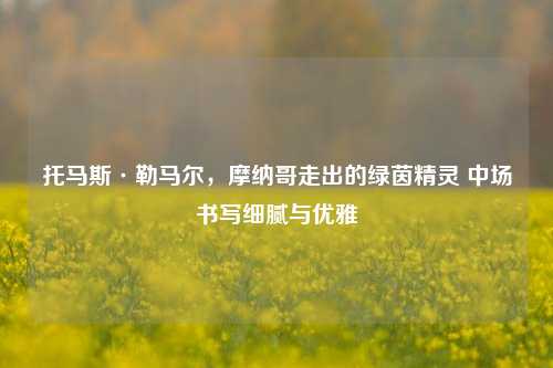 托马斯·勒马尔,摩纳哥走出的绿茵精灵 中场书写细腻与优雅
