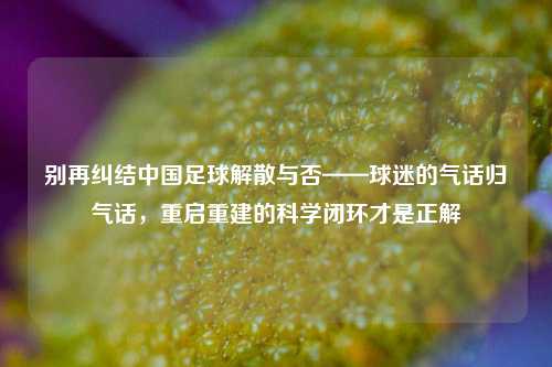 别再纠结中国足球解散与否——球迷的气话归气话，重启重建的科学闭环才是正解