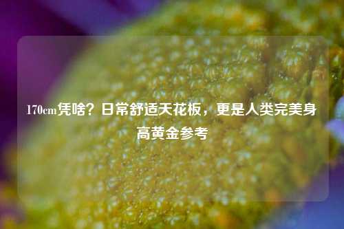 170cm凭啥?日常舒适天花板,更是人类完美身高黄金参考
