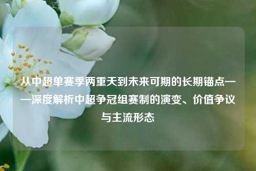 从中超单赛季两重天到未来可期的长期锚点——深度解析中超争冠组赛制的演变、价值争议与主流形态
