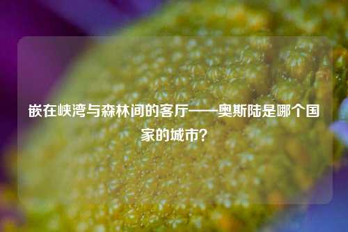 嵌在峡湾与森林间的客厅——奥斯陆是哪个国家的城市？