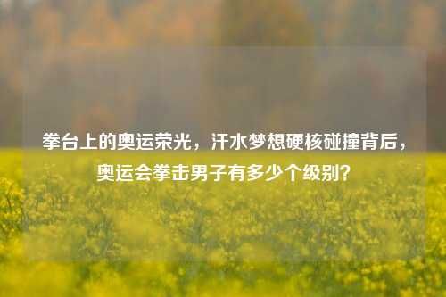 拳台上的奥运荣光,汗水梦想硬核碰撞背后,奥运会拳击男子有多少个级别?
