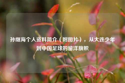 孙继海个人资料简介(附图片),从大连少年到中国足球的留洋旗帜