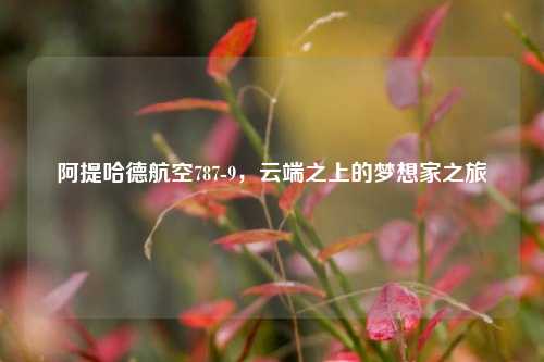 阿提哈德航空787-9，云端之上的梦想家之旅