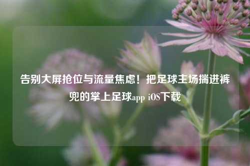 告别大屏抢位与流量焦虑！把足球主场揣进裤兜的掌上足球app iOS下载