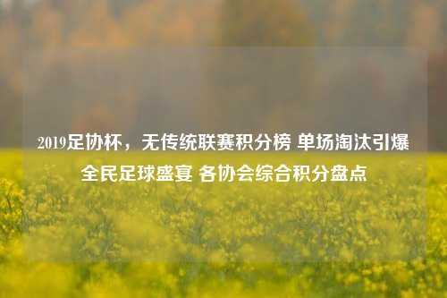 2019足协杯，无传统联赛积分榜 单场淘汰引爆全民足球盛宴 各协会综合积分盘点
