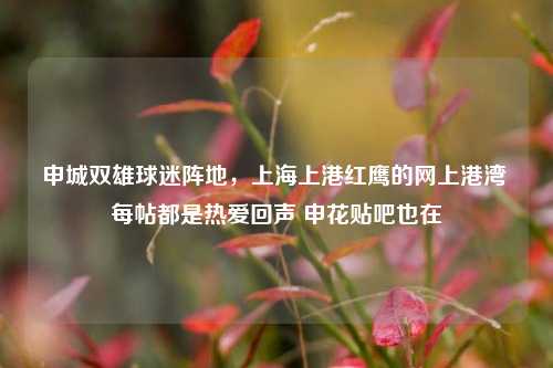 申城双雄球迷阵地，上海上港红鹰的网上港湾 每帖都是热爱回声 申花贴吧也在