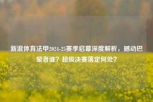 新浪体育法甲2024-25赛季启幕深度解析，撼动巴黎者谁？超级决赛落定何处？