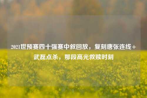 2021世预赛四十强赛中叙回放，复刻唐张连线+武磊点杀，那段高光救赎时刻
