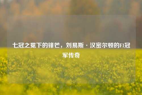 七冠之冕下的锋芒，刘易斯·汉密尔顿的F1冠军传奇