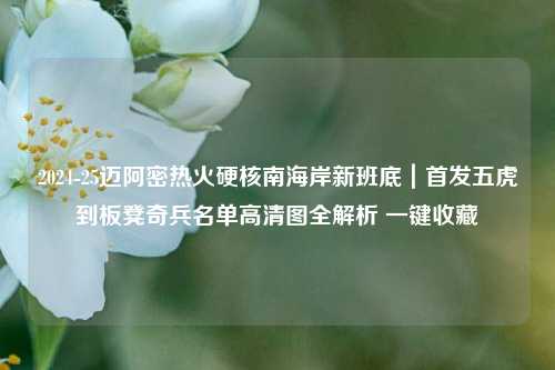 2024-25迈阿密热火硬核南海岸新班底｜首发五虎到板凳奇兵名单高清图全解析 一键收藏