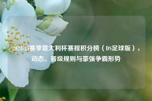 2024-25赛季意大利杯赛程积分榜(DS足球版),动态、晋级规则与豪强争霸形势