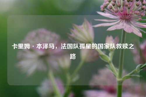 卡里姆·本泽马，法国队孤星的国家队救赎之路