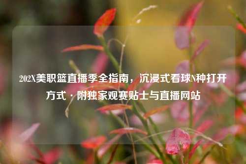 202X美职篮直播季全指南，沉浸式看球N种打开方式·附独家观赛贴士与直播网站