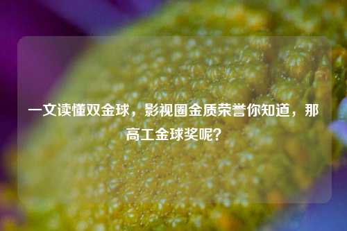 一文读懂双金球，影视圈金质荣誉你知道，那高工金球奖呢？