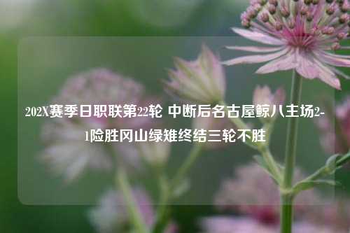 202X赛季日职联第22轮 中断后名古屋鲸八主场2-1险胜冈山绿雉终结三轮不胜
