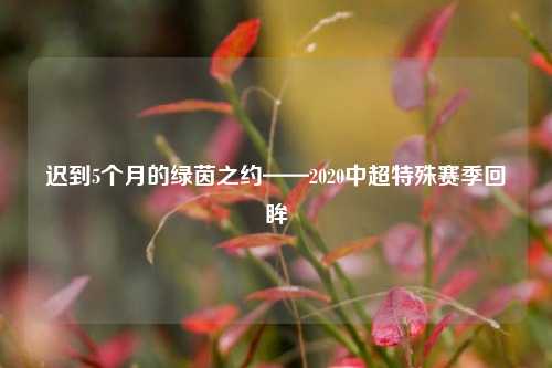 迟到5个月的绿茵之约——2020中超特殊赛季回眸