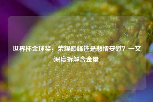 世界杯金球奖,荣耀巅峰还是悲情安慰?一文深度拆解含金量