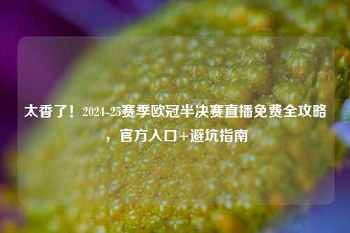 太香了！2024-25赛季欧冠半决赛直播免费全攻略，官方入口+避坑指南