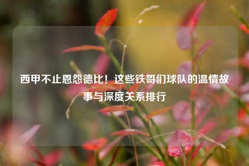 西甲不止恩怨德比！这些铁哥们球队的温情故事与深度关系排行