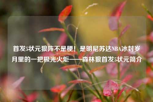 首发5状元狼阵不是梗！是明尼苏达NBA冰封岁月里的一把极光火炬——森林狼首发5状元简介