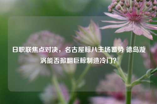 日职联焦点对决，名古屋鲸八主场蓄势 德岛漩涡能否掀翻巨鲸制造冷门？