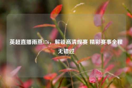 英超直播雨燕176，解锁高清观赛 精彩赛事全程无错过
