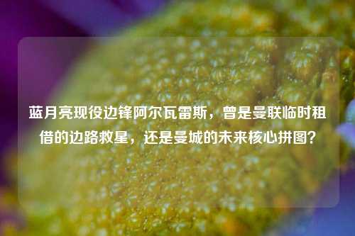 蓝月亮现役边锋阿尔瓦雷斯，曾是曼联临时租借的边路救星，还是曼城的未来核心拼图？