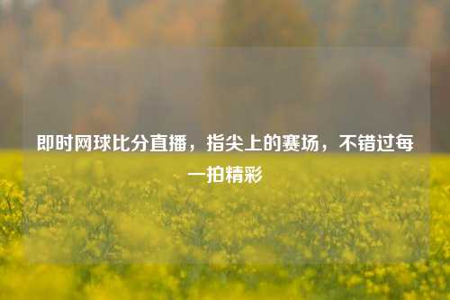 即时网球比分直播，指尖上的赛场，不错过每一拍精彩