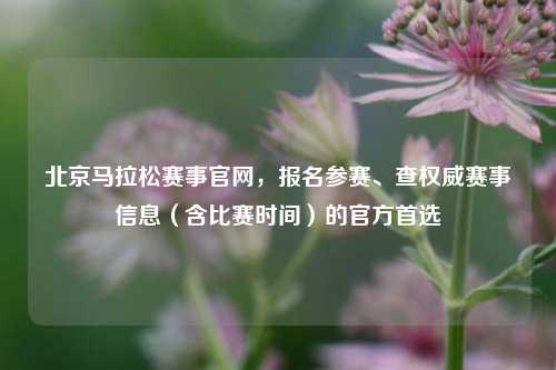 北京马拉松赛事官网，报名参赛、查权威赛事信息（含比赛时间）的官方首选