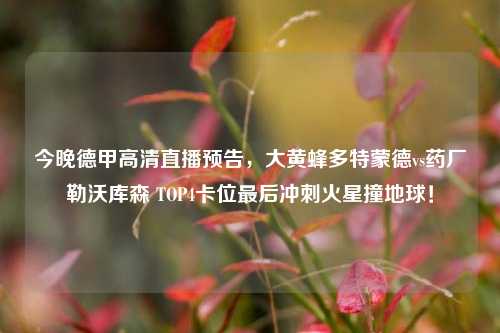 今晚德甲高清直播预告，大黄蜂多特蒙德vs药厂勒沃库森 TOP4卡位最后冲刺火星撞地球！