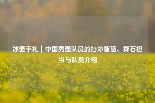 冰壶手札｜中国男壶队员的扫冰智慧、掷石担当与队员介绍