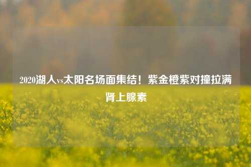2020湖人vs太阳名场面集结！紫金橙紫对撞拉满肾上腺素