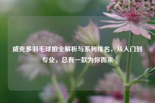 威克多羽毛球拍全解析与系列排名，从入门到专业，总有一款为你而来