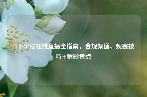 J2下半程在线直播全指南，合规渠道、观赛技巧+精彩看点