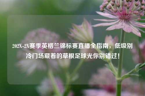 202X-2X赛季英格兰锦标赛直播全指南，低级别冷门场藏着的草根足球光你别错过！