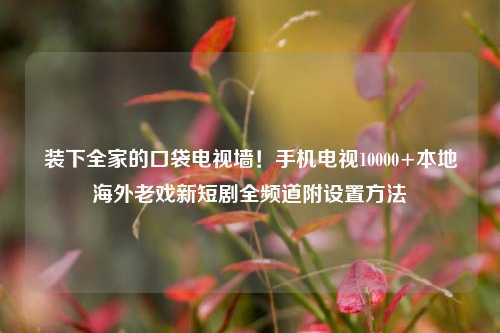 装下全家的口袋电视墙！手机电视10000+本地海外老戏新短剧全频道附设置 *** 