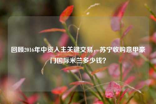 回顾2016年中资入主关键交易，苏宁收购意甲豪门国际米兰多少钱？