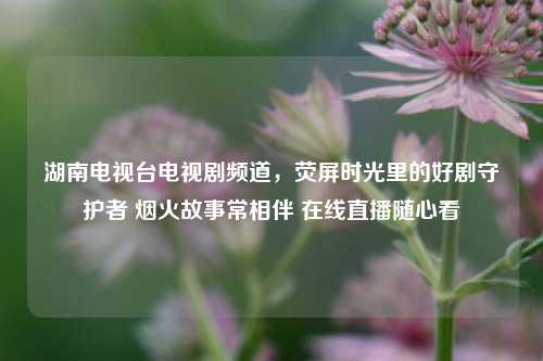 湖南电视台电视剧频道，荧屏时光里的好剧守护者 烟火故事常相伴 在线直播随心看