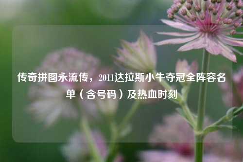 传奇拼图永流传，2011达拉斯小牛夺冠全阵容名单（含号码）及热血时刻