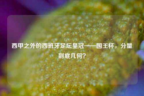 西甲之外的西班牙足坛皇冠——国王杯，分量到底几何？