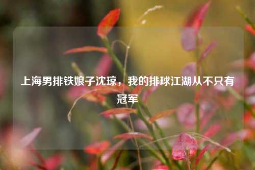 上海男排铁娘子沈琼，我的排球江湖从不只有冠军