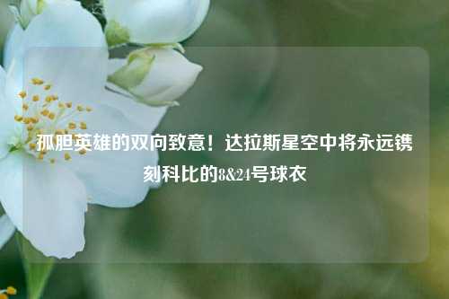 孤胆英雄的双向致意！达拉斯星空中将永远镌刻科比的8&24号球衣