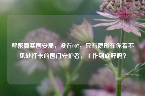 解密真实国安局，没有007，只有隐形在你看不见处打卡的国门守护者，工作到底好吗？
